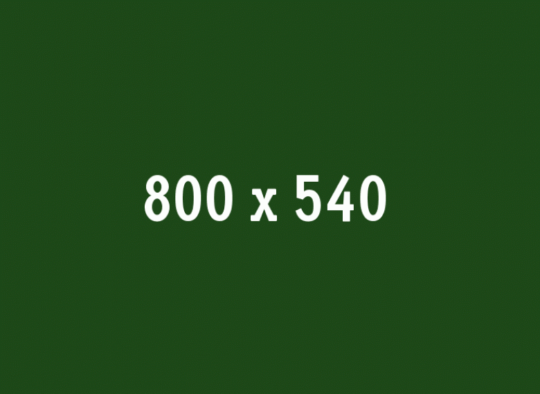 Giverny and Versailles Small Group Day Trip